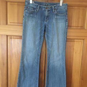 Big Star Jeans Vintage Denim SZ 29R Flare Leg